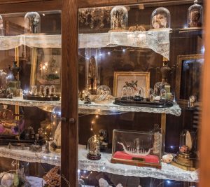 Cabinet de curiosité “La Grange”