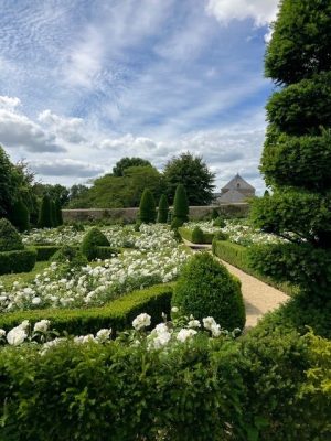 Jardins du manoir de la Massonnière