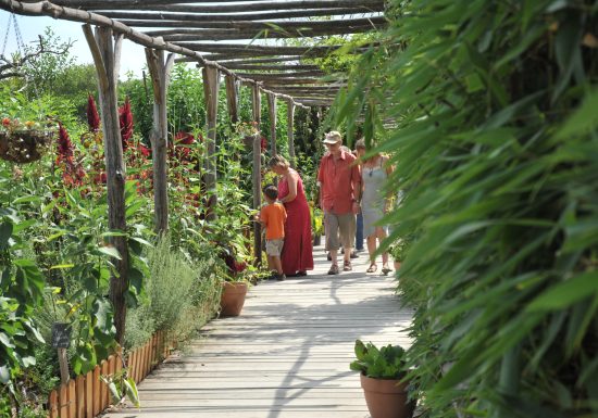 AUTOUR DU BOULEVARD NATURE : L’ARCHE DE LA NATURE, RANDONNÉE POUR TOUS PAR LA MAISON DE LA PRAIRIE