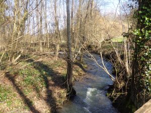 PECHER SUR LE TUSSON DANS UN LIEU PITTORESQUE