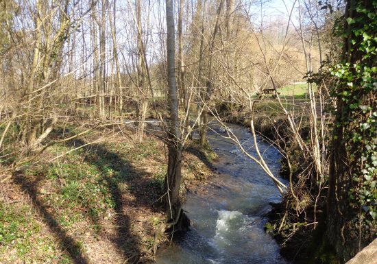 Pêcher sur le Tusson dans un lieu pittoresque