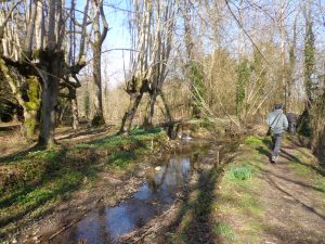 PECHER SUR LE TUSSON DANS UN LIEU PITTORESQUE