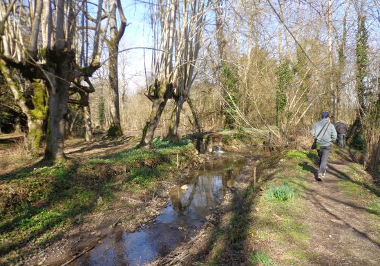 Pêcher sur le Tusson dans un lieu pittoresque