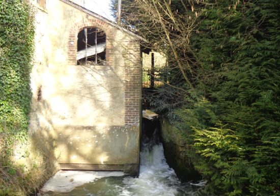 Pêcher sur l’Anille à La Chapelle-Huon