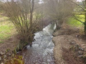 PECHER SUR LE TUSSON DANS LE BOURG