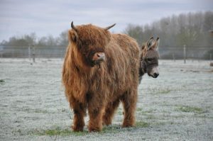 Ferme pédagogique le Temps d’un Champs