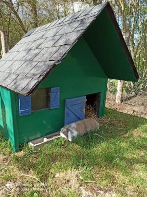 Ferme pédagogique le Temps d’un Champs