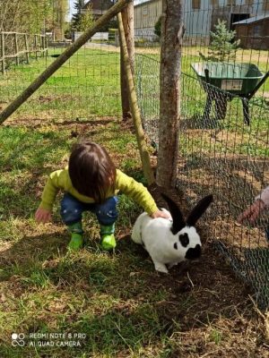 Ferme pédagogique le Temps d’un Champs