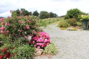 CHAMBRE D’HÔTES – LES BORDERIES