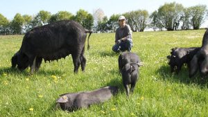 Ferme Les Meules Fermières