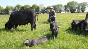 FERME LES MEULES FERMIERES