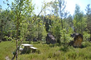 LES PIERRES LEVEES – ECOMMOY