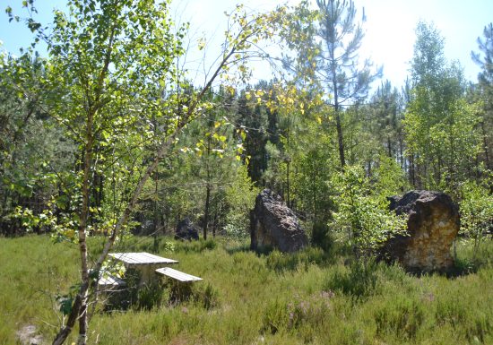 LES PIERRES LEVEES – ECOMMOY