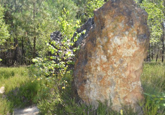 Circuit La légende du coq – Ecommoy – E4