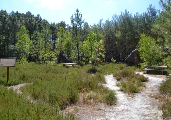 LES PIERRES LEVEES – ECOMMOY