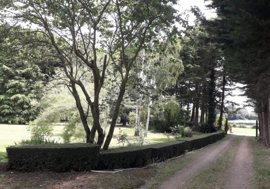 Chambre d’hôtes les Terrasses
