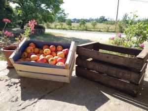 LES VERGERS D AULAINES