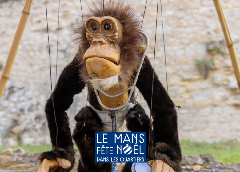 Les Singes – Compagnie Bitonio