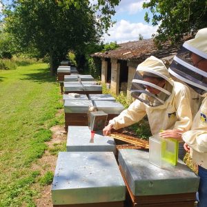 Boutique Rêve d’abeilles
