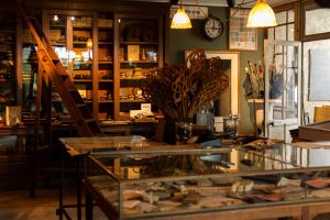 Musée de boutiques anciennes et cabinet de curiosités
