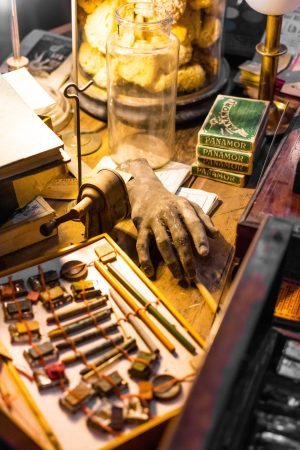 Musée de boutiques anciennes et cabinet de curiosités