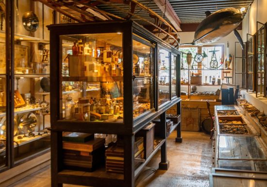 Musée de boutiques anciennes et cabinet de curiosités