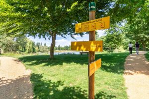 WATER PLAN OF AUVERS LE HAMON