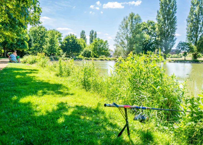 WATER PLAN OF AUVERS LE HAMON