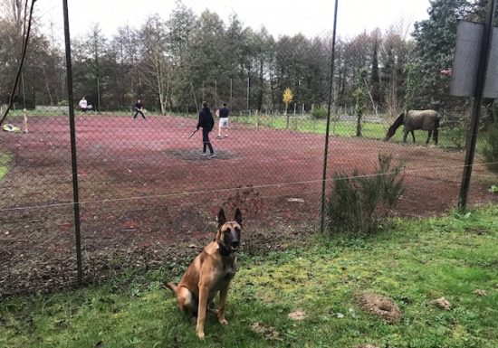 Gîte Le Moulin de Crampaux 15 personnes