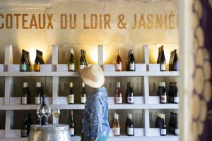 Comment apprendre le vin rapidement et facilement. L’ESSENTIEL DU VIN