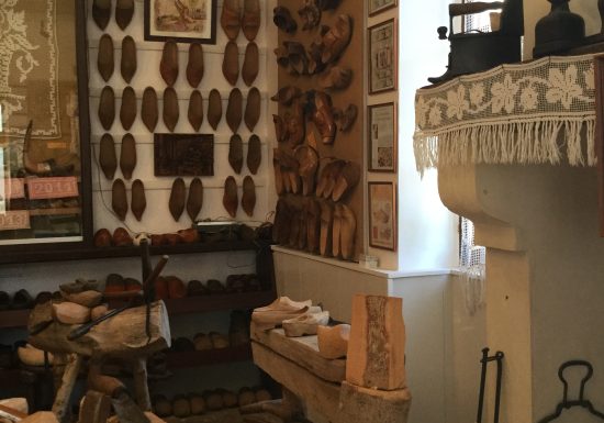 PARCOURS CYCLO – CAP SUR LA FORÊT DE PERSEIGNE