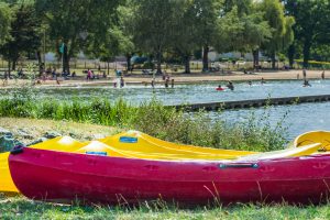 PEDALO BOAT RENTAL