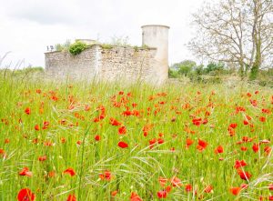 Parcé-sur-Sarthe petite cité de caractère