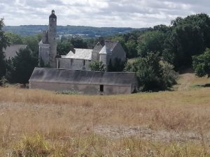 CLOS SUR LOIR COTTAGE- JARDIN YUCCAS