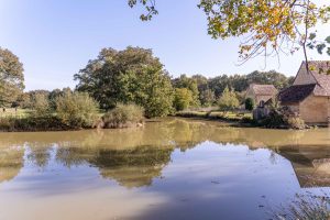 GITE LES CHARBONNIERES DU DOMAINE DES MESANGERES