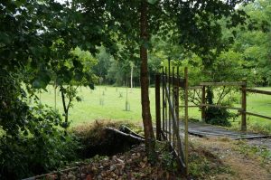 CHAMBRES D’HOTES LE MOULIN DE MONTERNAULT