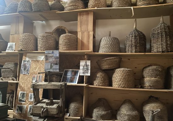 Bee Museum