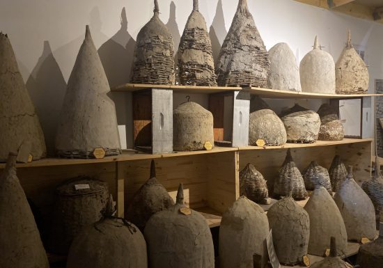 Bee Museum