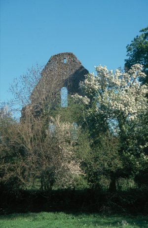 BALADE GREETERS : EN FORÊT ET À L’ABBAYE DE PERSEIGNE