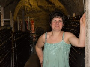 Domaine viticole la cave de Dauvers