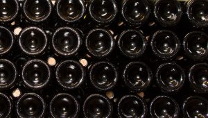 Domaine viticole la cave de Dauvers