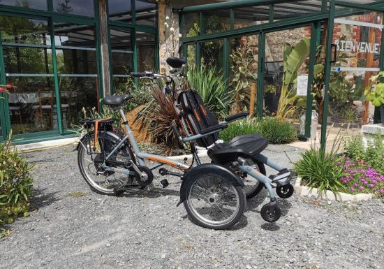 RENTAL AND DELIVERY OF LOMO WHEELS, PUSH BIKES WITH ELECTRICAL ASSISTANCE AND LAUNCHING CHAIRS FOR PEOPLE WITH REDUCED MOBILITY