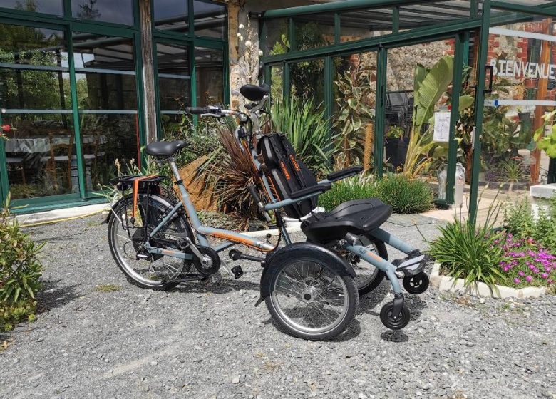 RENTAL AND DELIVERY OF LOMO WHEELS, PUSH BIKES WITH ELECTRICAL ASSISTANCE AND LAUNCHING CHAIRS FOR PEOPLE WITH REDUCED MOBILITY