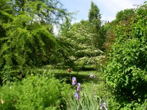 Arboretum du Tuffeau