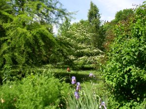 ARBORETUM DU TUFFEAU