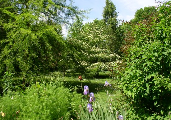 Arboretum du Tuffeau