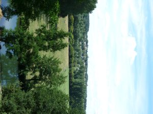 N°12 : Le brame du cerf