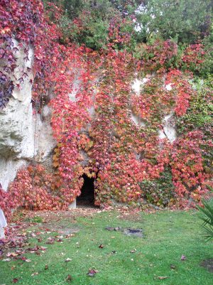 ARBORETUM DU TUFFEAU