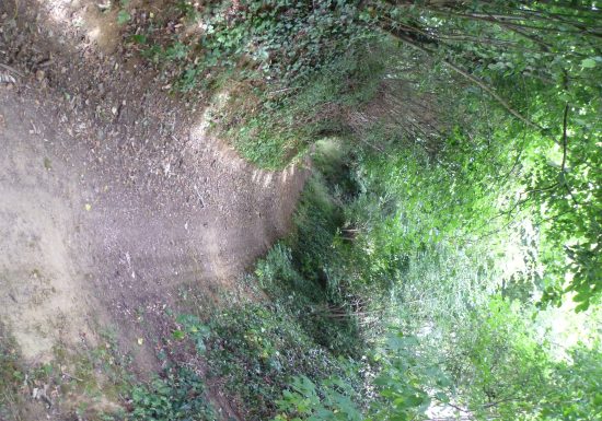 CIRCUIT VTT DE BONNETABLE