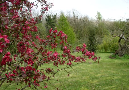 Arboretum du Tuffeau